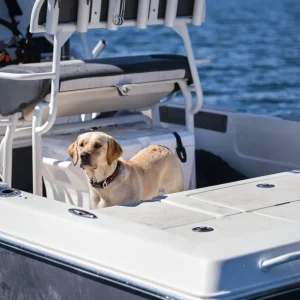Grundéns Grundens Dog Collar> Gear & Accessories